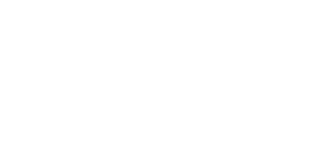 NPO Saica